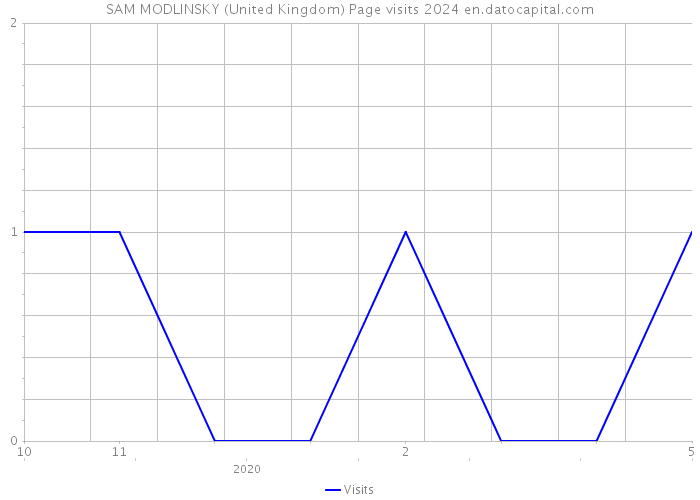SAM MODLINSKY (United Kingdom) Page visits 2024 