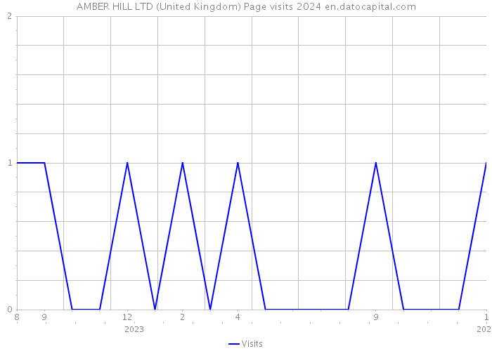 AMBER HILL LTD (United Kingdom) Page visits 2024 
