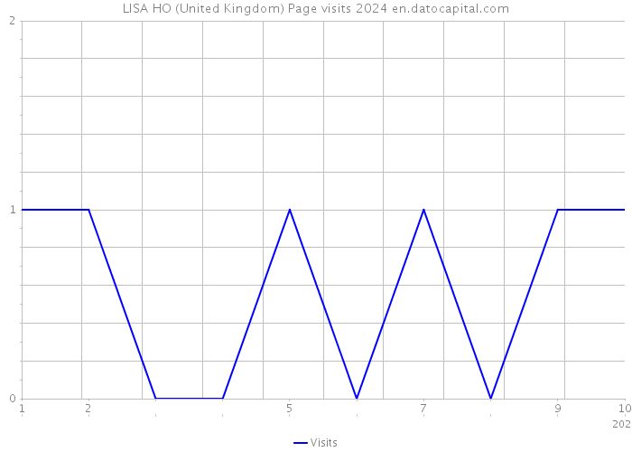 LISA HO (United Kingdom) Page visits 2024 