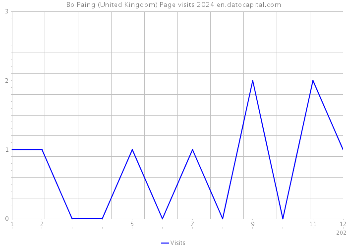 Bo Paing (United Kingdom) Page visits 2024 