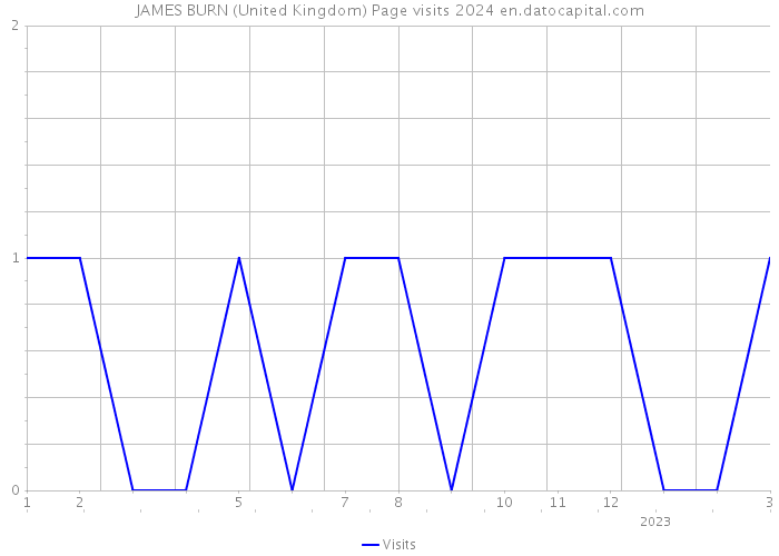 JAMES BURN (United Kingdom) Page visits 2024 