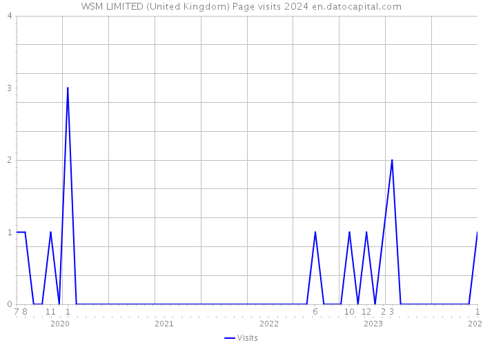 WSM LIMITED (United Kingdom) Page visits 2024 