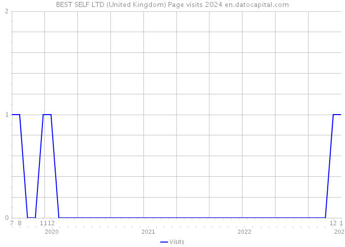 BEST SELF LTD (United Kingdom) Page visits 2024 
