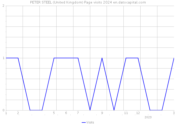 PETER STEEL (United Kingdom) Page visits 2024 