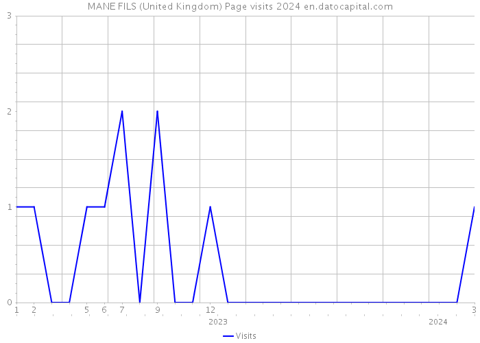 MANE FILS (United Kingdom) Page visits 2024 