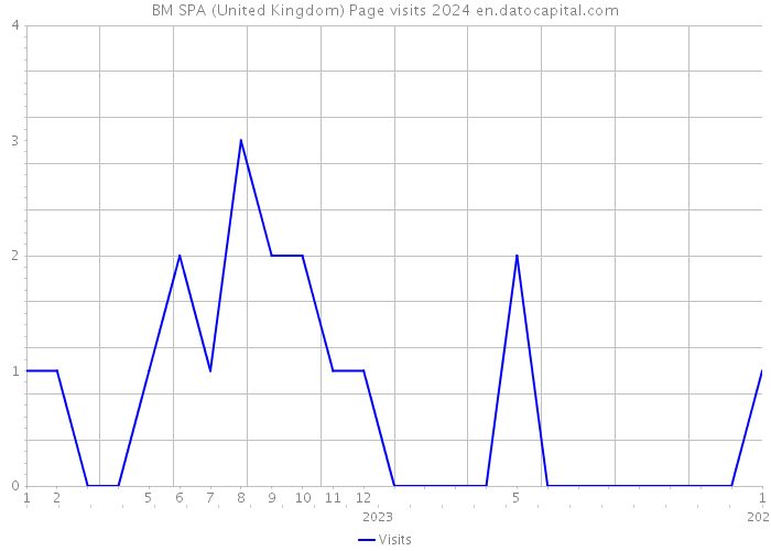 BM SPA (United Kingdom) Page visits 2024 