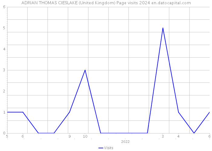 ADRIAN THOMAS CIESLAKE (United Kingdom) Page visits 2024 