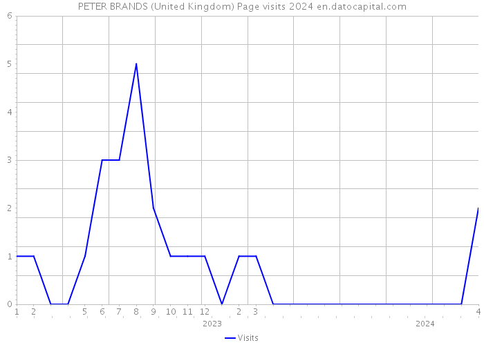 PETER BRANDS (United Kingdom) Page visits 2024 