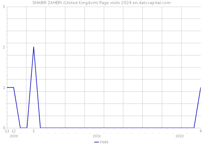 SHABIR ZAHERI (United Kingdom) Page visits 2024 