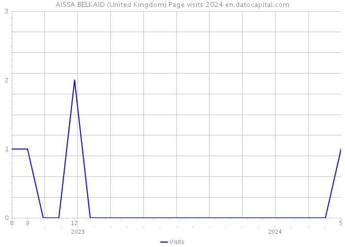 AISSA BELKAID (United Kingdom) Page visits 2024 