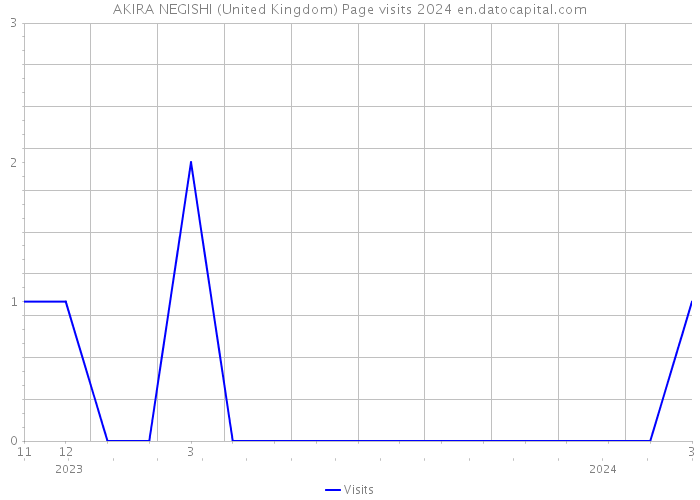 AKIRA NEGISHI (United Kingdom) Page visits 2024 