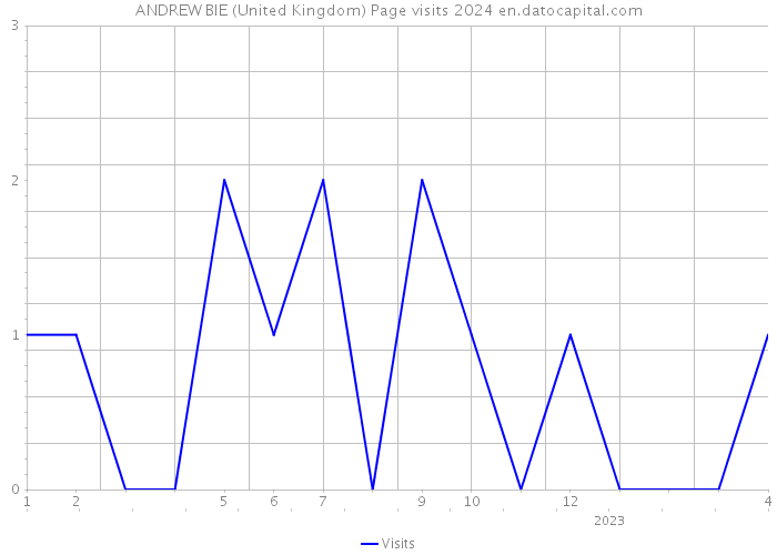 ANDREW BIE (United Kingdom) Page visits 2024 