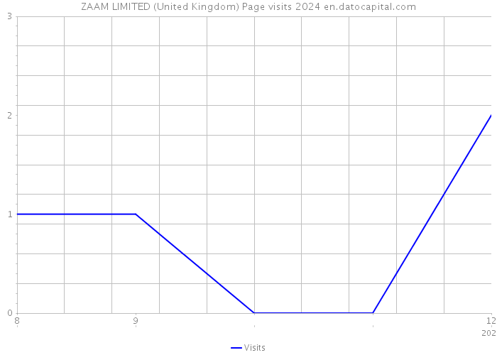 ZAAM LIMITED (United Kingdom) Page visits 2024 