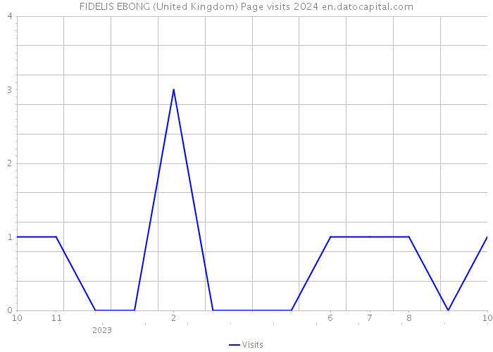 FIDELIS EBONG (United Kingdom) Page visits 2024 