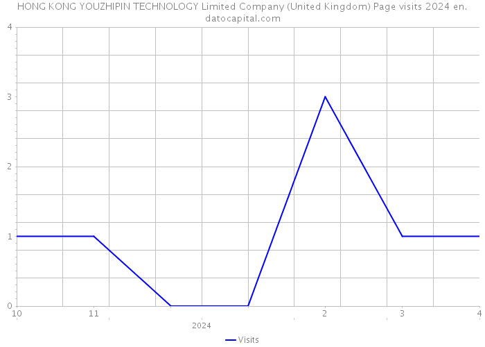 HONG KONG YOUZHIPIN TECHNOLOGY Limited Company (United Kingdom) Page visits 2024 
