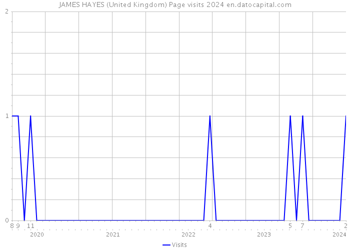 JAMES HAYES (United Kingdom) Page visits 2024 