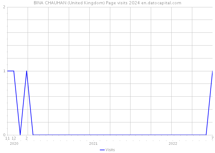 BINA CHAUHAN (United Kingdom) Page visits 2024 