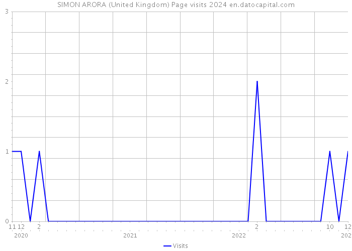 SIMON ARORA (United Kingdom) Page visits 2024 