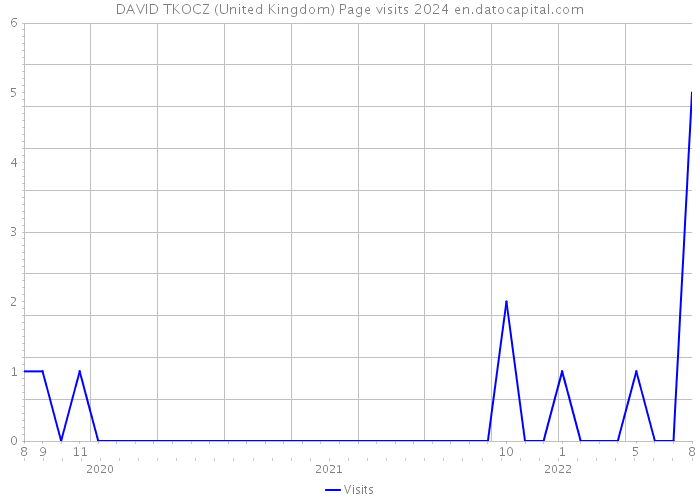 DAVID TKOCZ (United Kingdom) Page visits 2024 