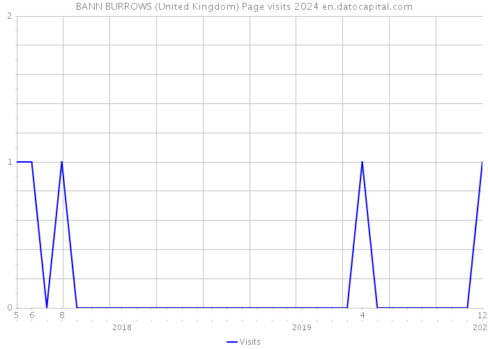 BANN BURROWS (United Kingdom) Page visits 2024 
