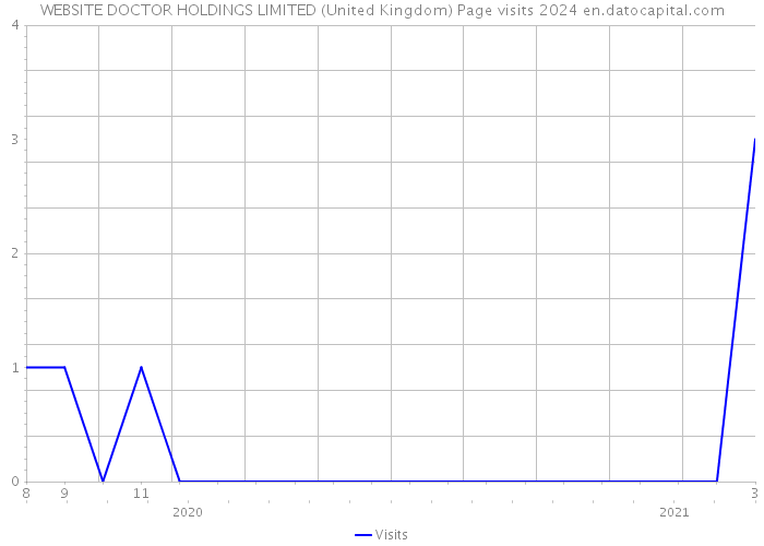 WEBSITE DOCTOR HOLDINGS LIMITED (United Kingdom) Page visits 2024 
