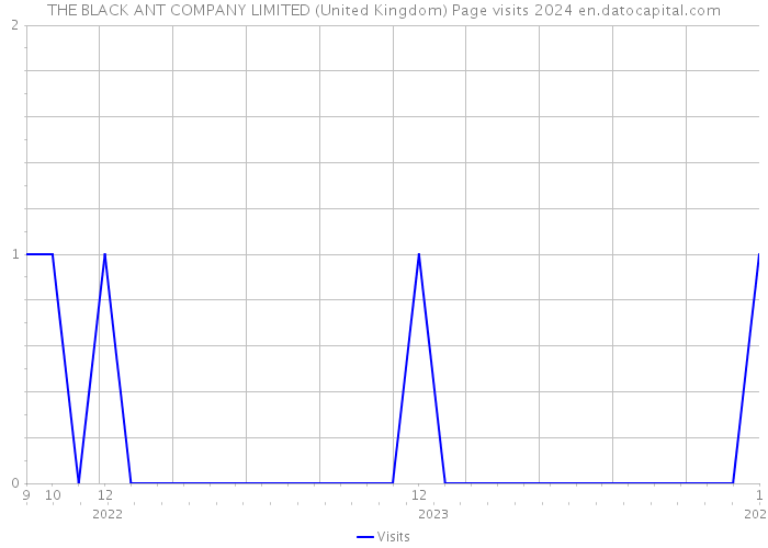 THE BLACK ANT COMPANY LIMITED (United Kingdom) Page visits 2024 