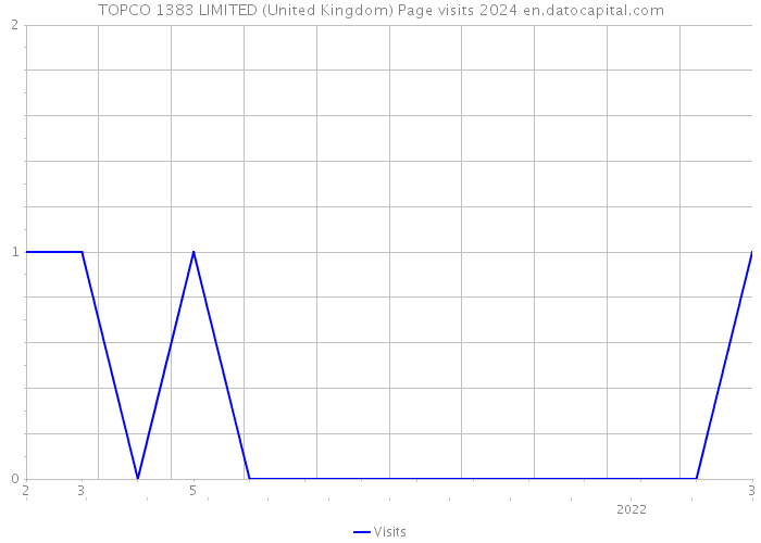 TOPCO 1383 LIMITED (United Kingdom) Page visits 2024 
