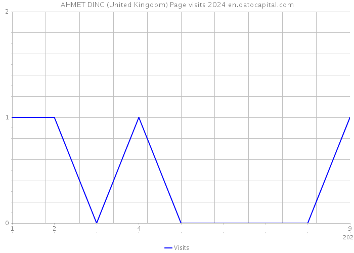AHMET DINC (United Kingdom) Page visits 2024 