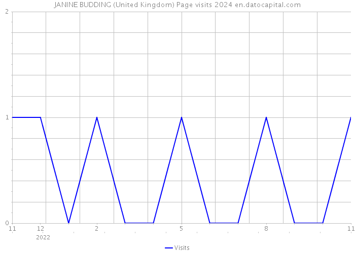 JANINE BUDDING (United Kingdom) Page visits 2024 