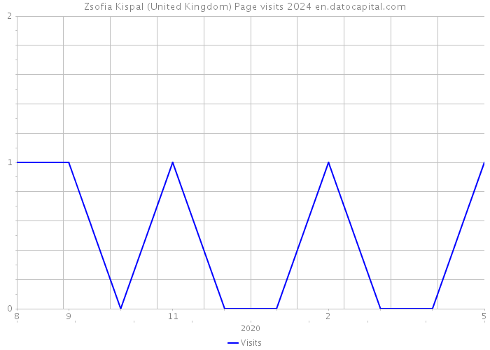 Zsofia Kispal (United Kingdom) Page visits 2024 