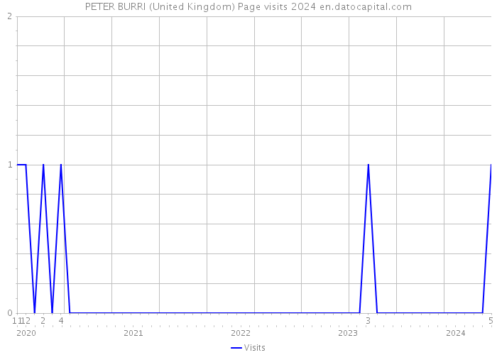 PETER BURRI (United Kingdom) Page visits 2024 