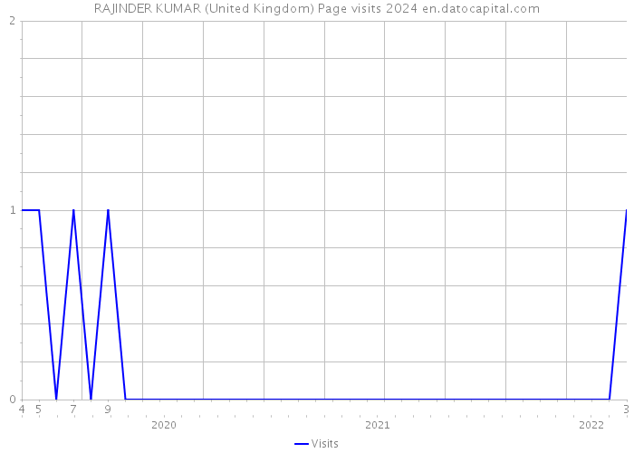RAJINDER KUMAR (United Kingdom) Page visits 2024 
