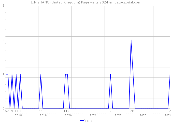 JUN ZHANG (United Kingdom) Page visits 2024 