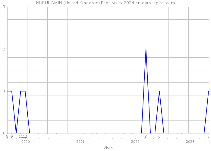 NURUL AMIN (United Kingdom) Page visits 2024 