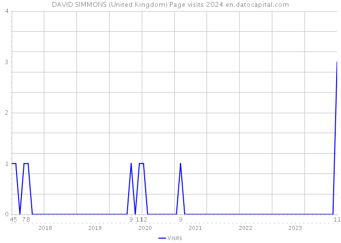 DAVID SIMMONS (United Kingdom) Page visits 2024 
