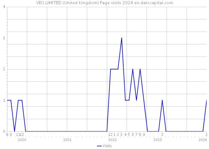 VEG LIMITED (United Kingdom) Page visits 2024 
