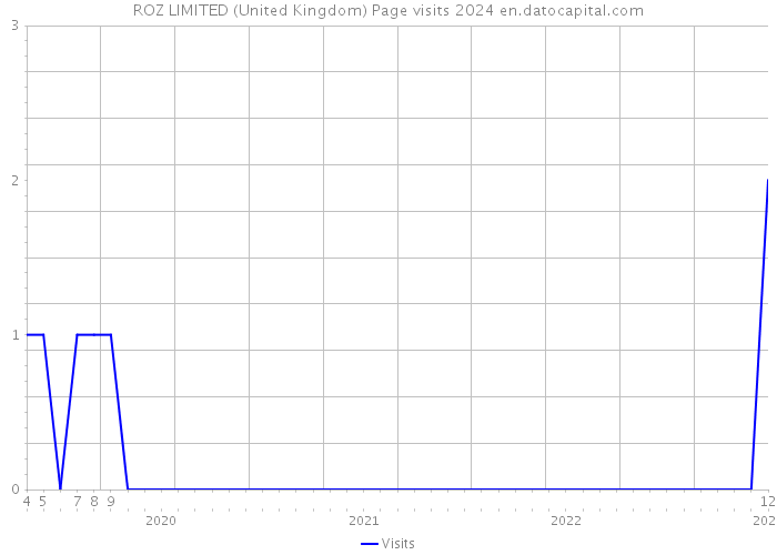 ROZ LIMITED (United Kingdom) Page visits 2024 