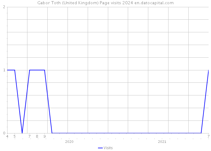 Gabor Toth (United Kingdom) Page visits 2024 