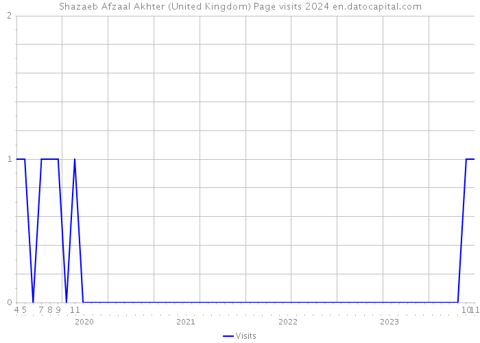 Shazaeb Afzaal Akhter (United Kingdom) Page visits 2024 