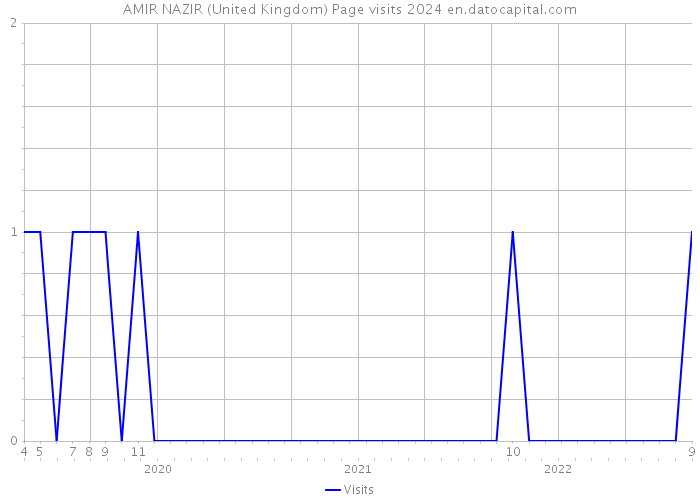 AMIR NAZIR (United Kingdom) Page visits 2024 