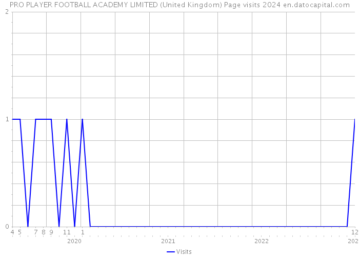 PRO PLAYER FOOTBALL ACADEMY LIMITED (United Kingdom) Page visits 2024 