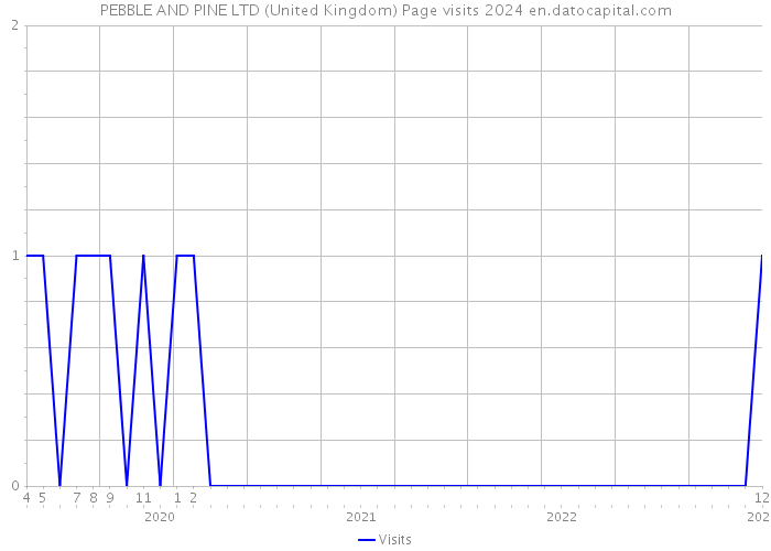 PEBBLE AND PINE LTD (United Kingdom) Page visits 2024 