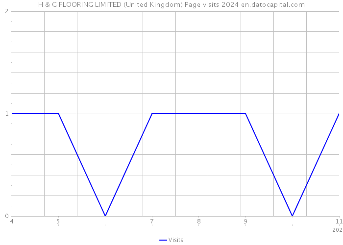 H & G FLOORING LIMITED (United Kingdom) Page visits 2024 