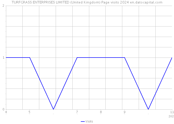 TURFGRASS ENTERPRISES LIMITED (United Kingdom) Page visits 2024 
