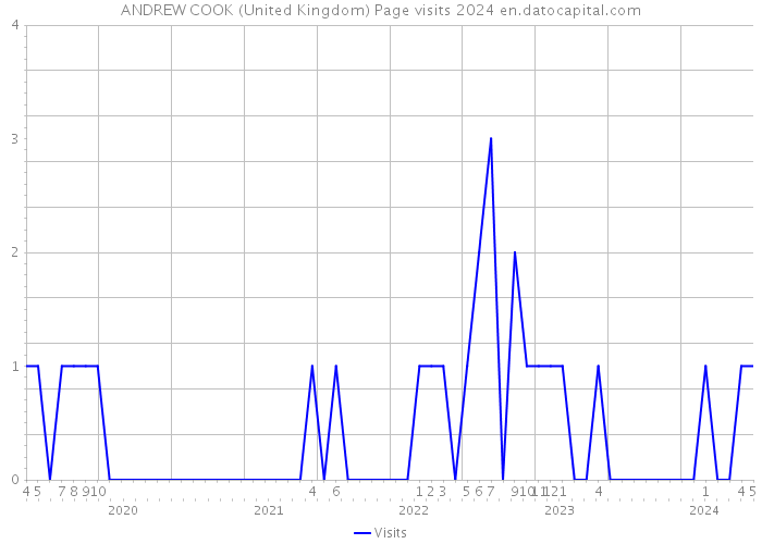 ANDREW COOK (United Kingdom) Page visits 2024 