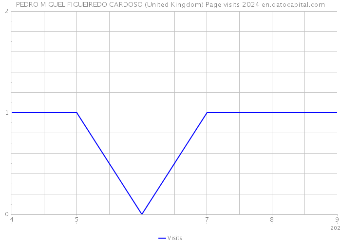 PEDRO MIGUEL FIGUEIREDO CARDOSO (United Kingdom) Page visits 2024 
