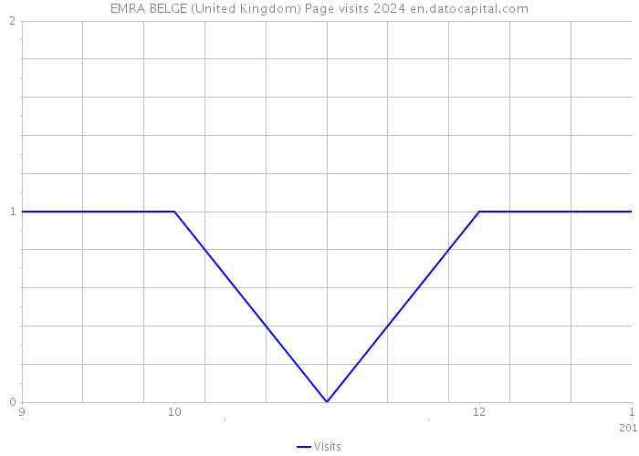 EMRA BELGE (United Kingdom) Page visits 2024 