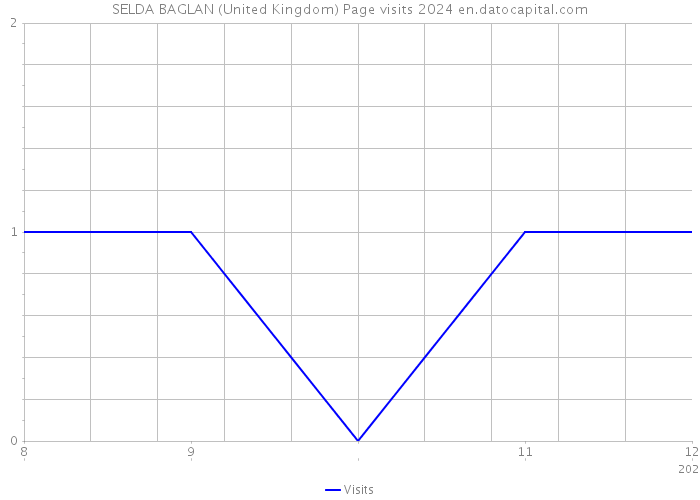 SELDA BAGLAN (United Kingdom) Page visits 2024 