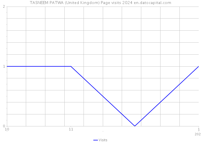 TASNEEM PATWA (United Kingdom) Page visits 2024 