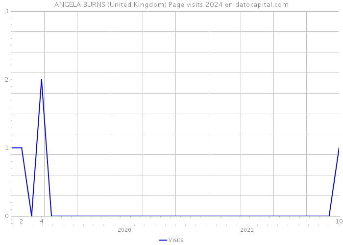 ANGELA BURNS (United Kingdom) Page visits 2024 